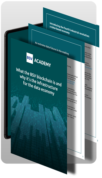 BSV Academy - BSV & Data Economy (ebook)